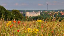 Die Industrialisierung des deutschen Braugewerbes im 19. Jahrhundert:  Vortrag von Prof. Dr. Clemens Wischermann am Donnerstag, 12. Juli, 19 Uhr in der Wewelsburg